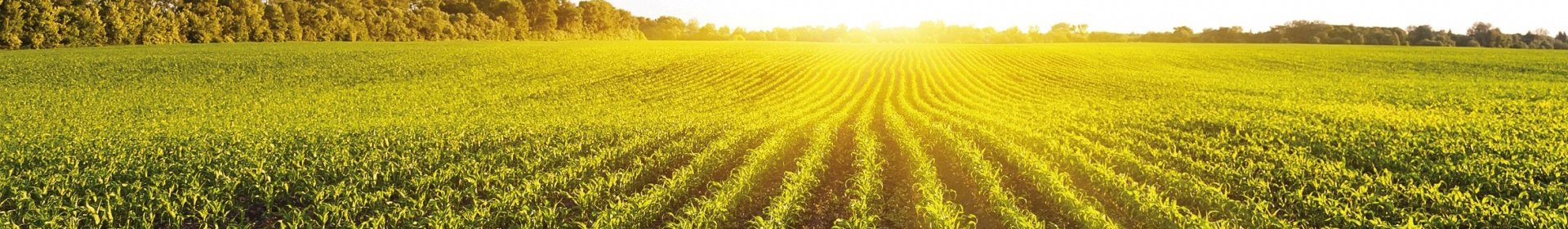 Авангард СДП РУП Могилёвское отделение Белорусской железной дороги